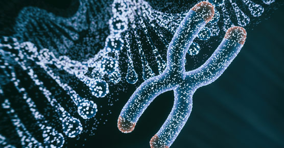 stylized chromosome with helix in background