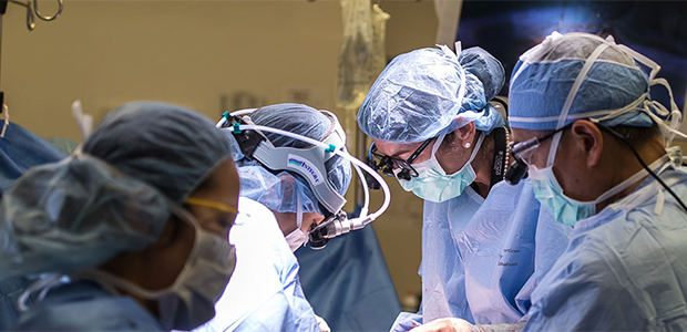 Transplant doctors