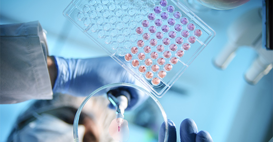stock clinical trials 556x290