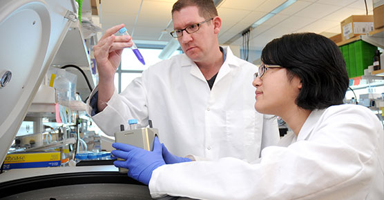 Researchers at UChicago Medicine