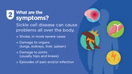 Sickle Cell Symptoms And Complications