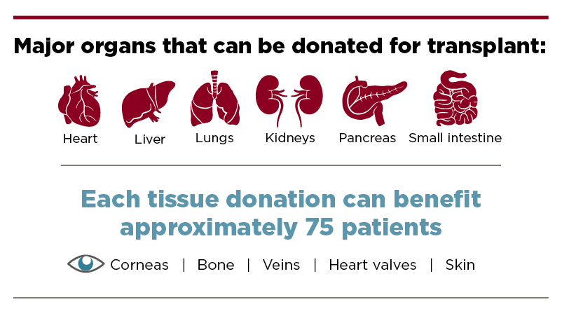 Tissues and organs