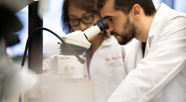 Male and female researchers working in a lab at the Comprehensive Cancer Center