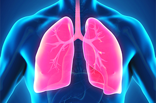 3D lung graphic