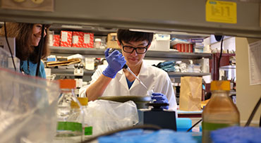 Researcher Maria Luisa Alegre, MD, PhD, and her graduate student in her lab in Biological Sciences Learning Center