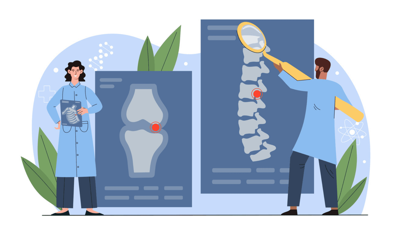 illustration of two doctors discussing bone and spinal structure.