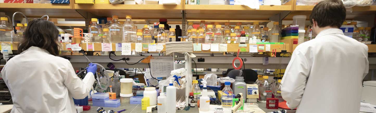 two lab scientists doing research