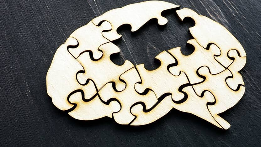 A jigsaw puzzle in the shape of a brain, missing two pieces.