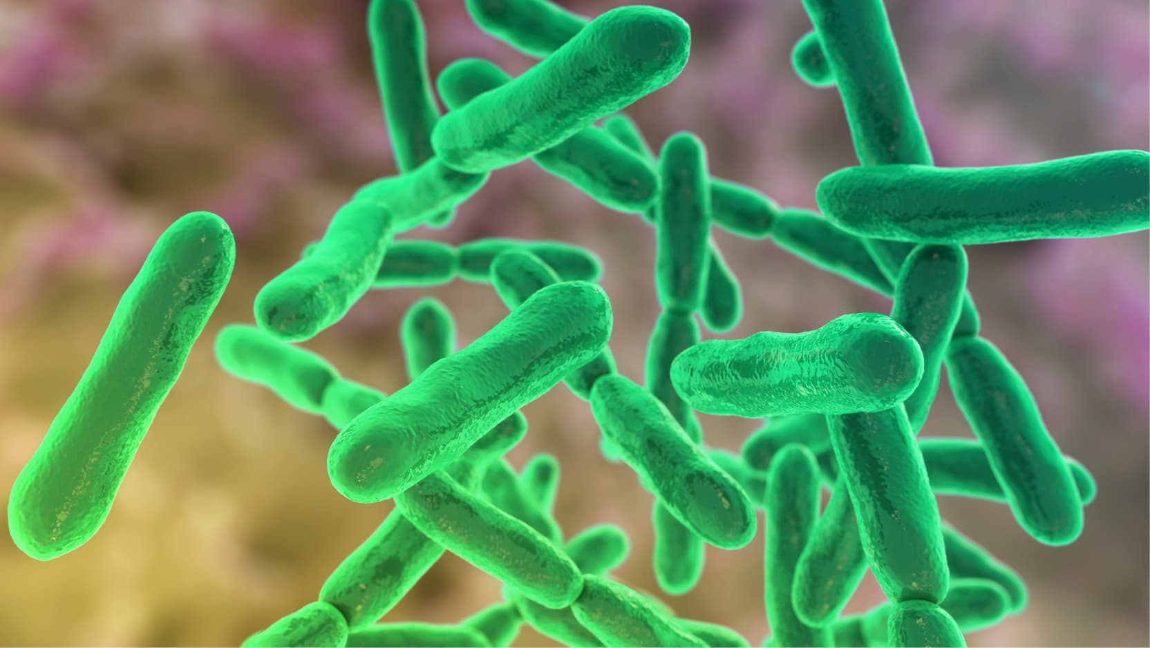 An illustration of bright green rod-shaped bacteria floating in space