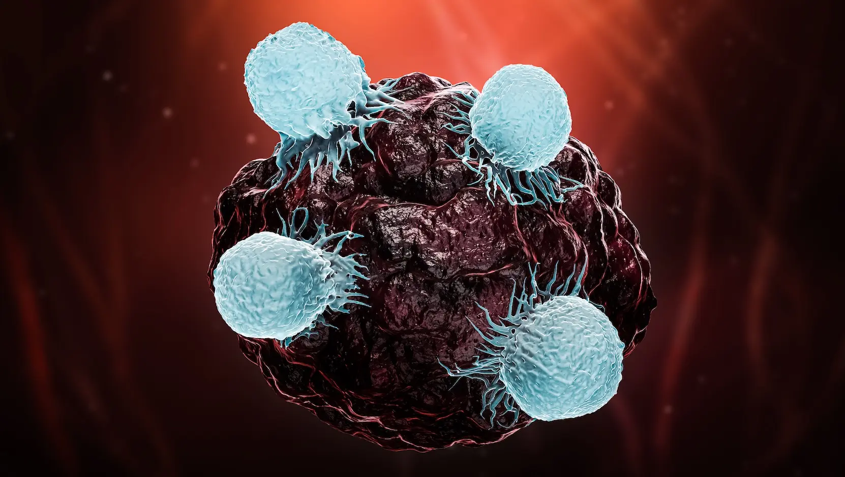 Disarming cancer stem cells’ shield makes immunotherapy more effective Disarming cancer stem cells’ shield makes immunotherapy more effective