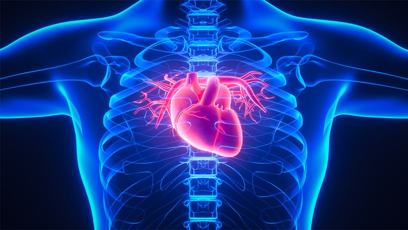 aortic image
