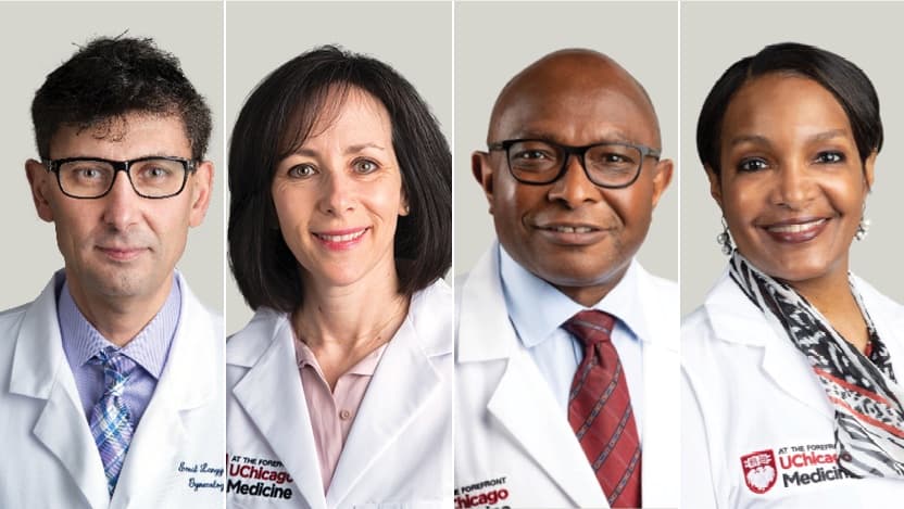 Ernst Lengyel, Stacy Tessler Lindau, Kunle Odunsi, Monica Peek