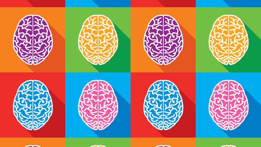 brains