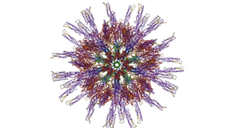 nano vaccine