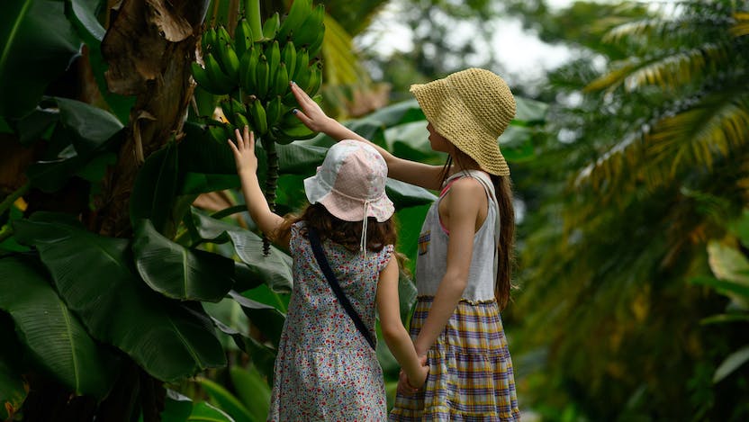 children touching plant