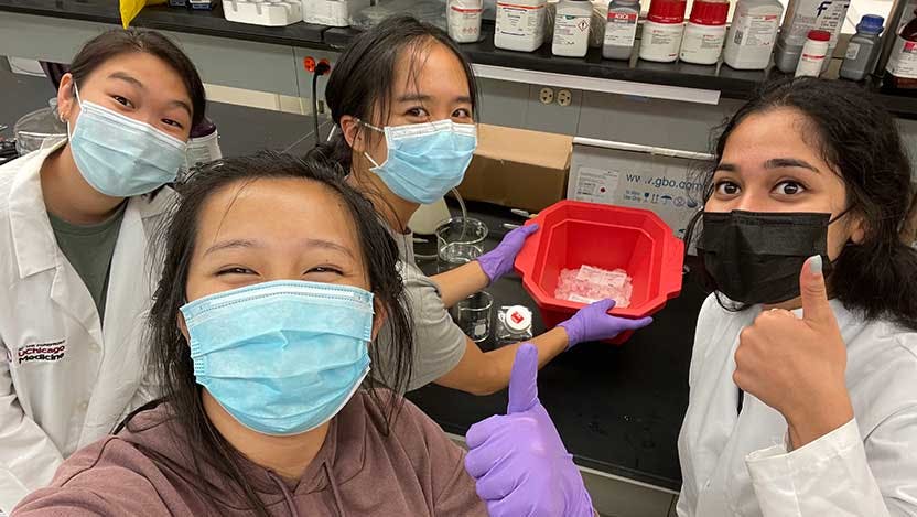 4 female students holding heart tissue samples in a lab