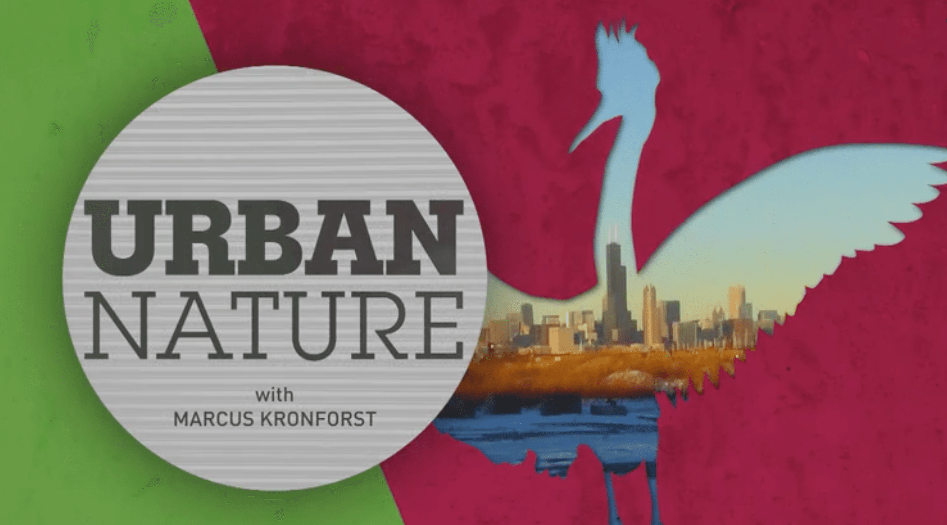 Urban Nature with Marcus Kronforst