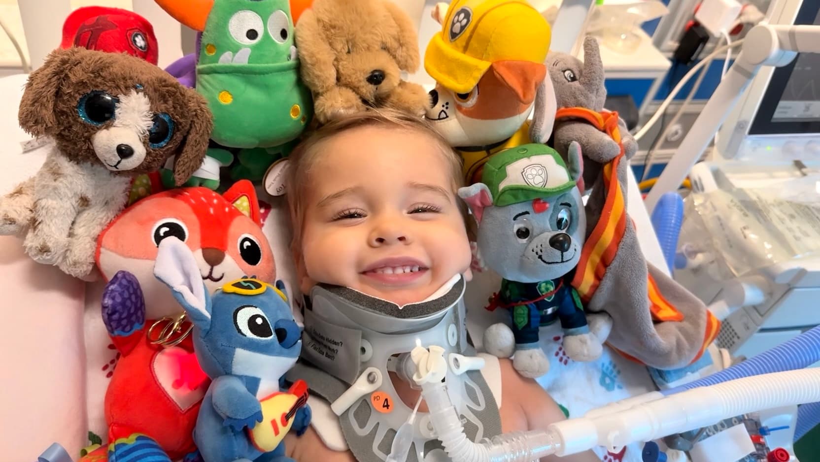Oliver Staub with stuffed animals