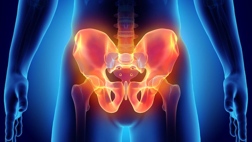 Illustration of pelvic bone highlighted to indicate pelvic pain or pelvic pressure