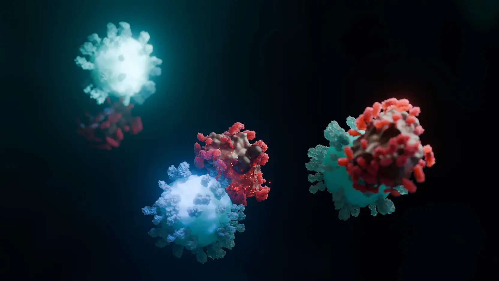 CAR-T Cell Attacking Cancer Cell