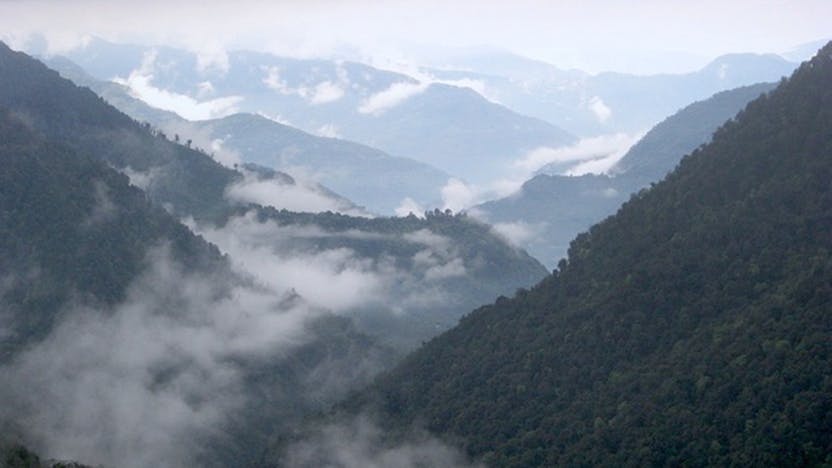 Landscape view of elevational gradient from treeline in Kanchendzonga National Park Sikkim in eastern Himalaya. 