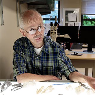 Michael Coates, PhD, with the Gladbachus fossil