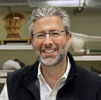 Neil Shubin, PhD