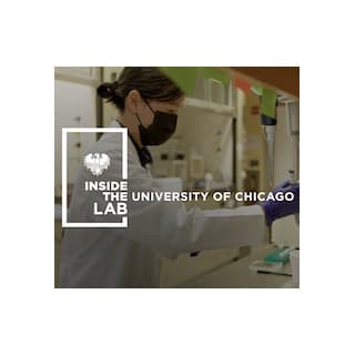 Inside the Lab