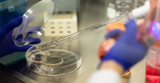 A laboratory setting showing a Petri dish. We’re a leading academic medical center with an integrated research and clinical care approach.