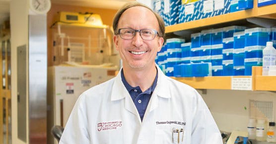 Medical oncologist Thomas Gajewski, MD, in lab