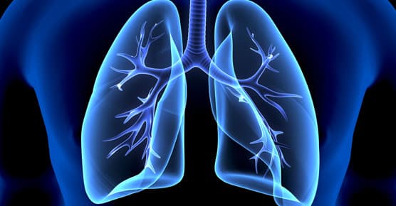 stylized illustration of lungs