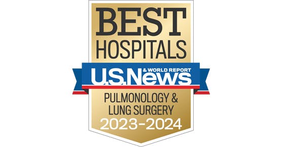 US News and World Report 2023-24 Badge for Pulmonology