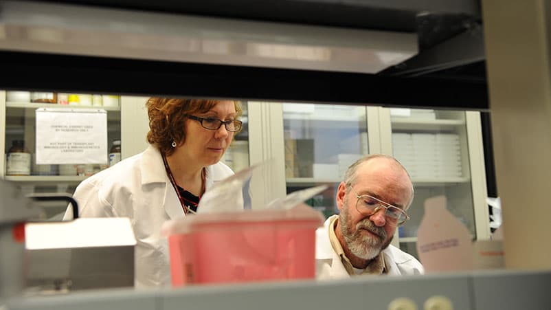Portrait of physician Susana Marino, MD, PhD, D(ABHI), Associate Professor, Director, Transplant Immunology and Immunogenetics Lab, with an unidentified man in a lab