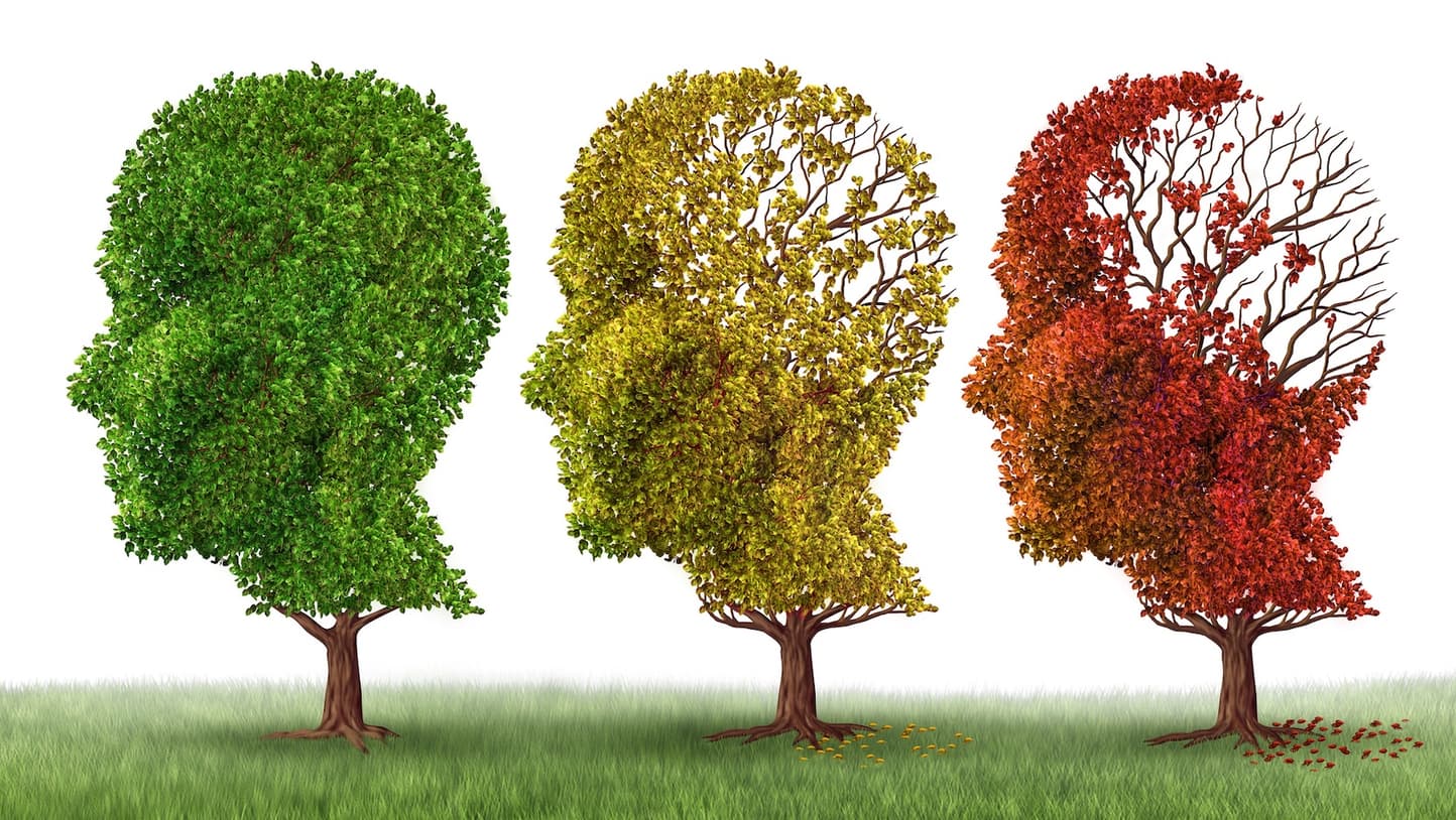 Sharp Memory Signs Memory loss: What's normal and what's not - UChicago Medicine
