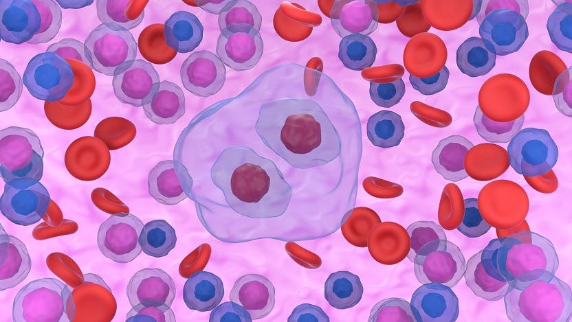 Illustration of various cells that circulate in the bloodstream on a purple background. The center cell is a large, abnormal cell with two nuclei instead of one.