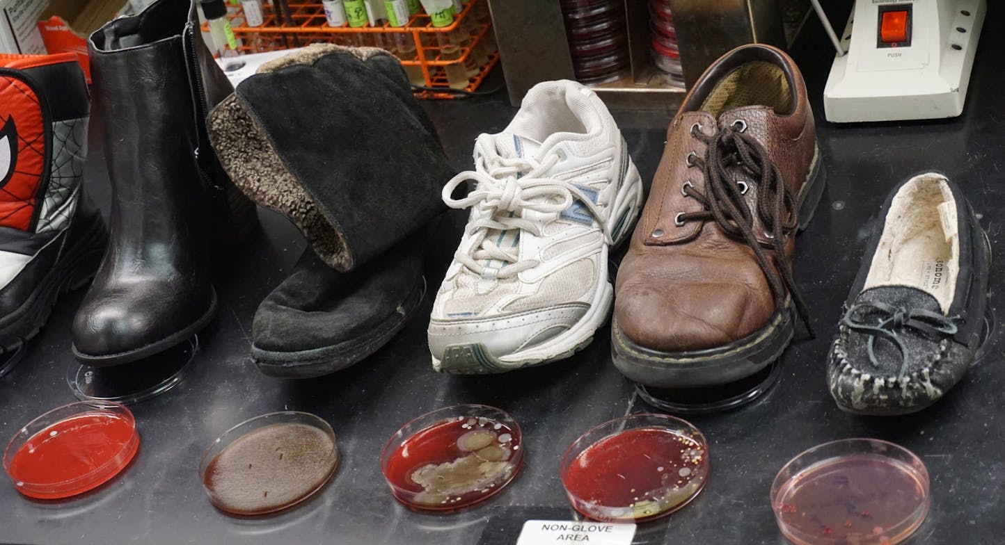 germ cultures from shoes